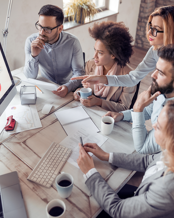 Web development team